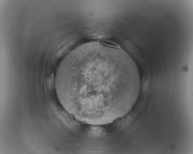 X0000111390376200907241339