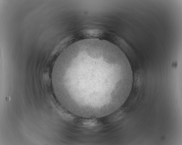 X0000111390377200907241339