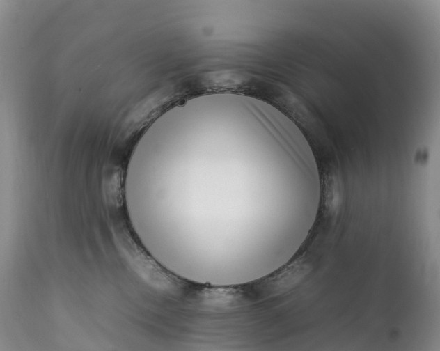 X0000111390378200907241339