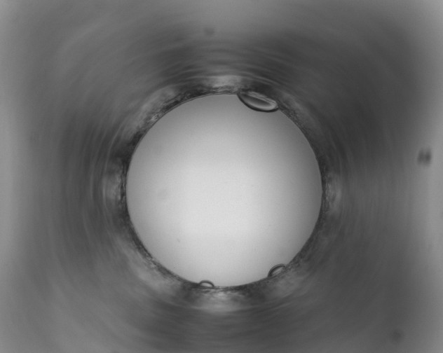 X0000111390379200907241339