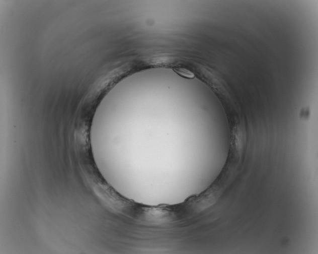 X0000111390380200907241339