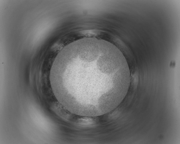 X0000111390381200907241339