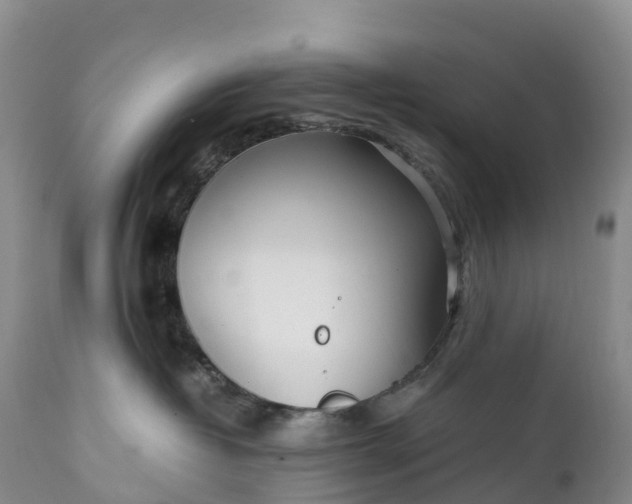 X0000111390382200907241339