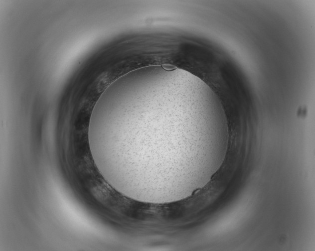 X0000111390383200907241339