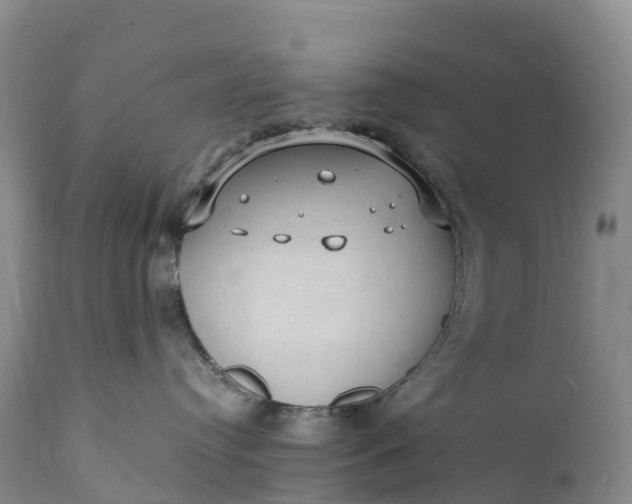 X0000111390384200907241339