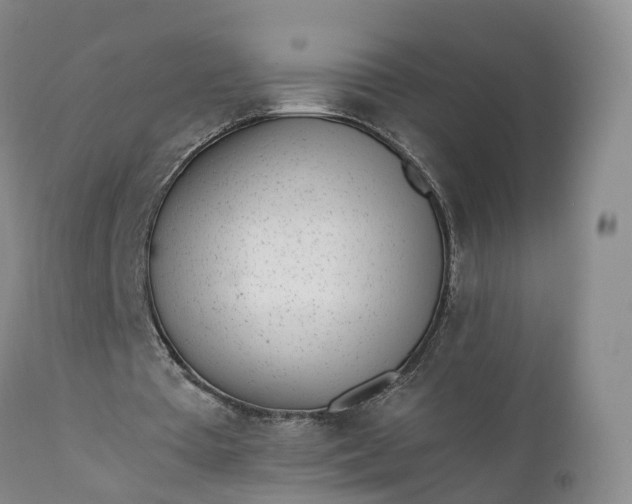 X0000111390385200907241339