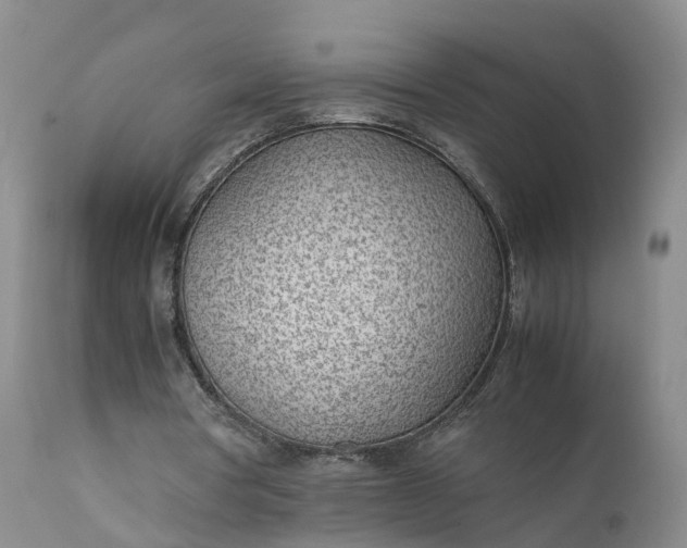 X0000111390386200907241339