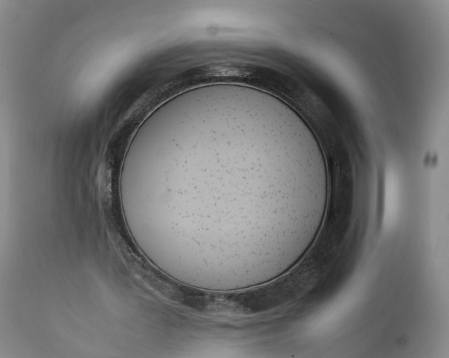 X0000111390387200907241339