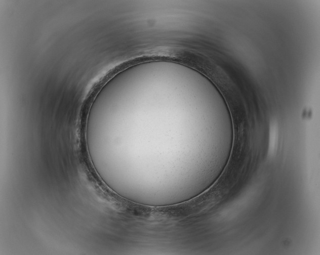 X0000111390388200907241339