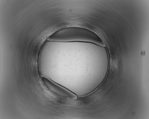 X0000111390389200907241339