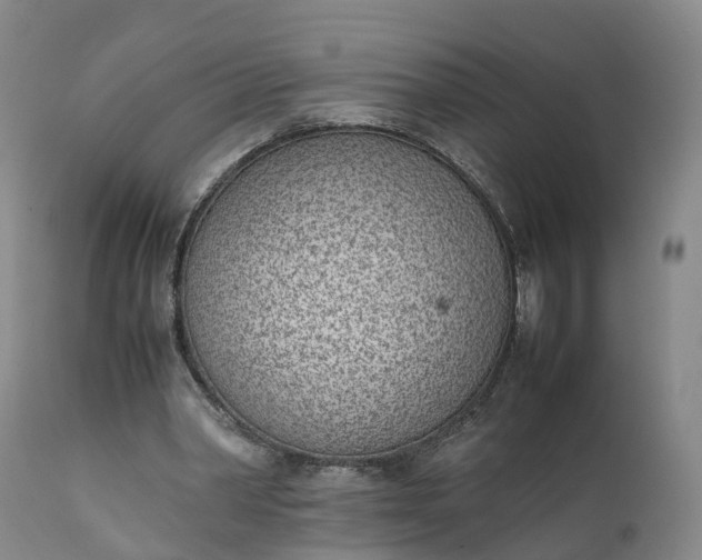 X0000111390390200907241339