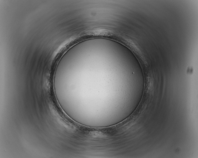 X0000111390392200907241339