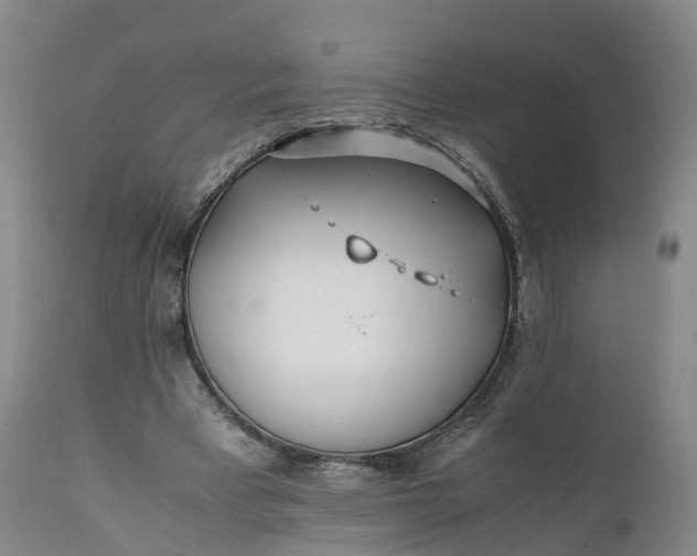 X0000111390393200907241339