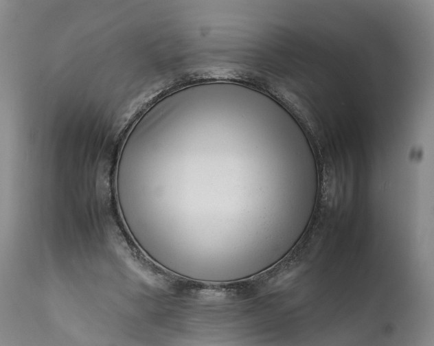 X0000111390394200907241339