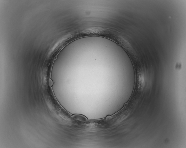 X0000111390396200907241339