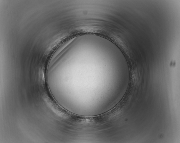 X0000111390398200907241339