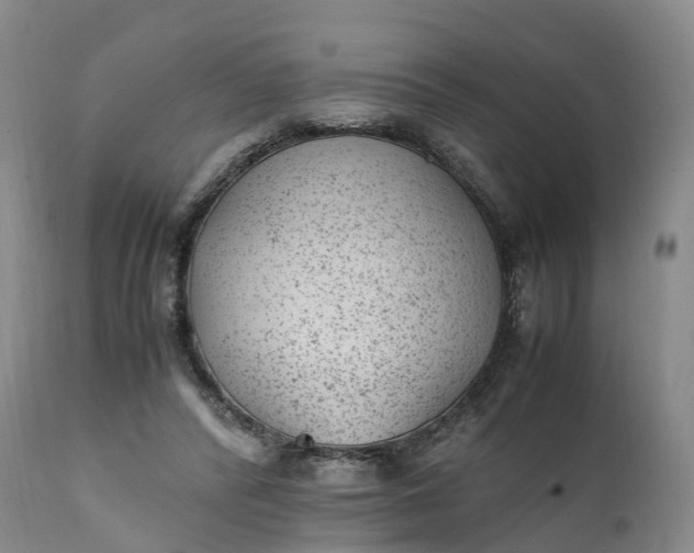 X0000111390400200907241339