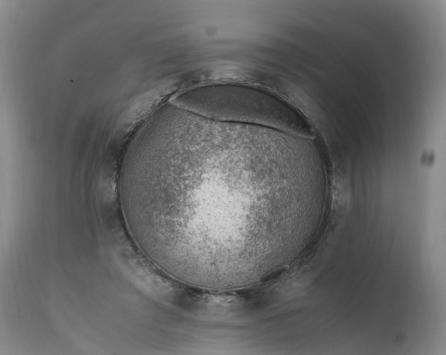 X0000111390401200907241339