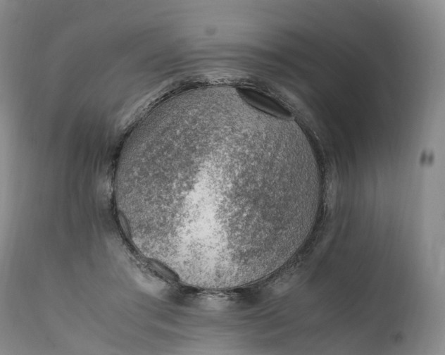 X0000111390405200907241339