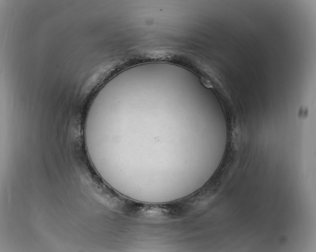 X0000111390407200907241338