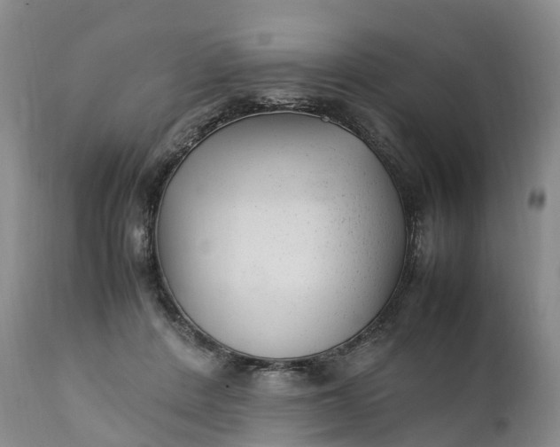 X0000111390408200907241338