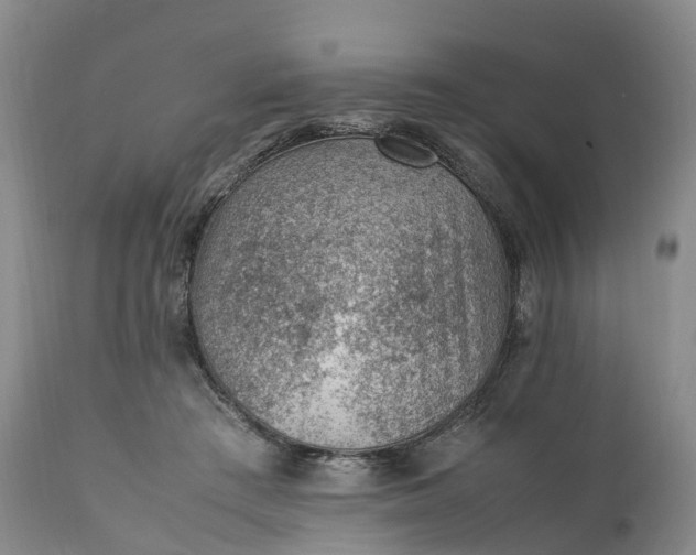 X0000111390409200907241338