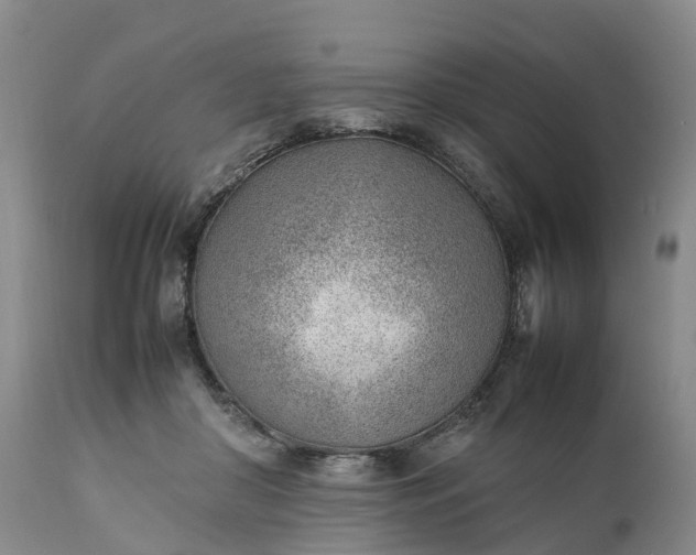 X0000111390410200907241338