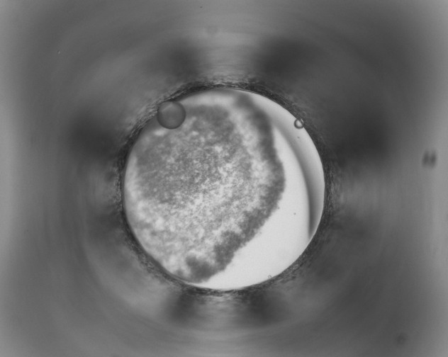 X0000111390411200907241338