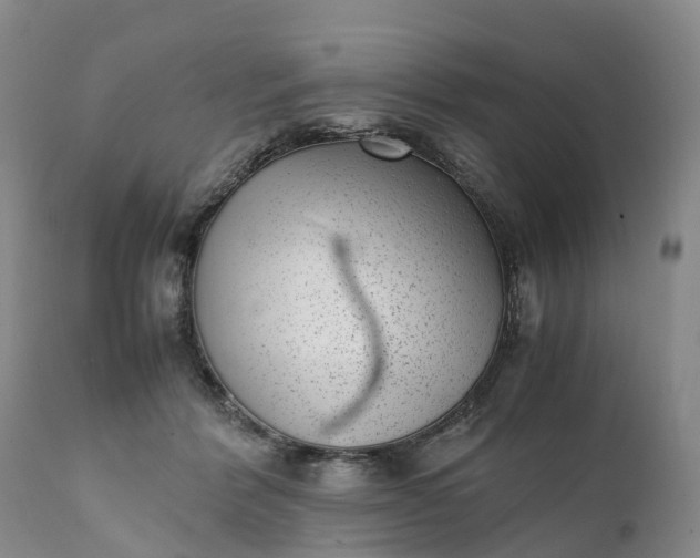 X0000111390412200907241338