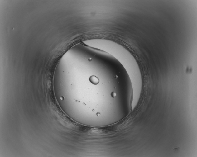 X0000111390413200907241338