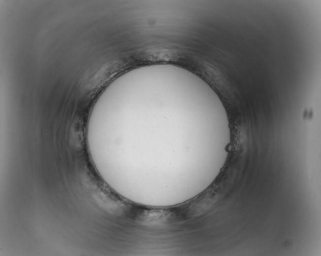 X0000111390414200907241338