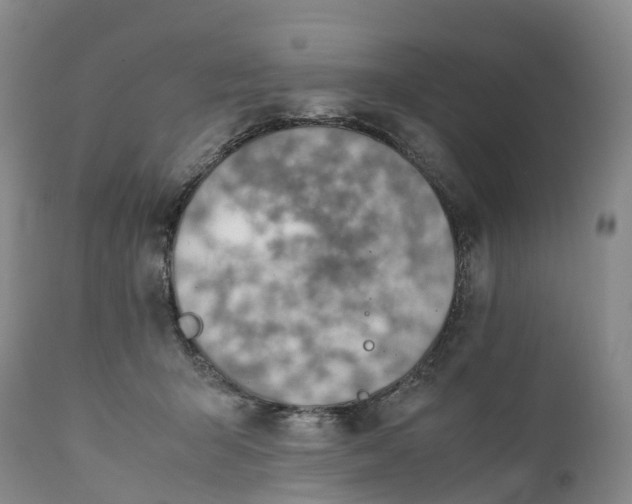 X0000111390415200907241338