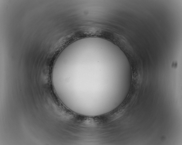 X0000111390416200907241338