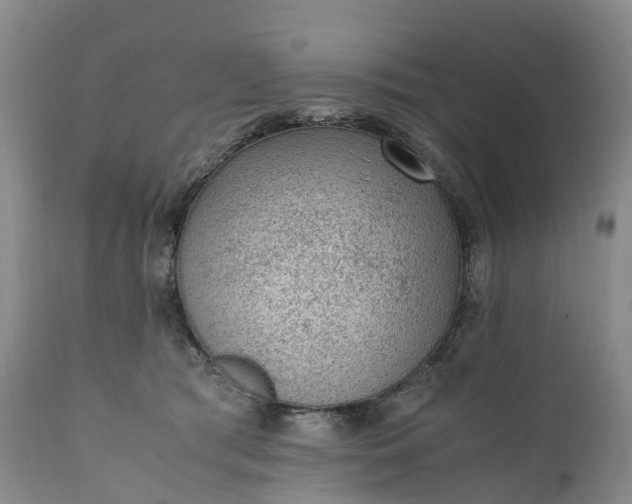 X0000111390417200907241338