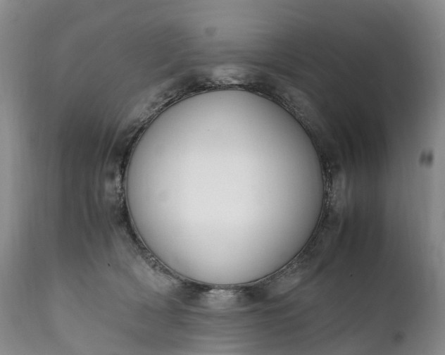 X0000111390418200907241338