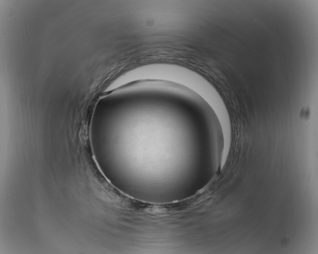 X0000111390419200907241338