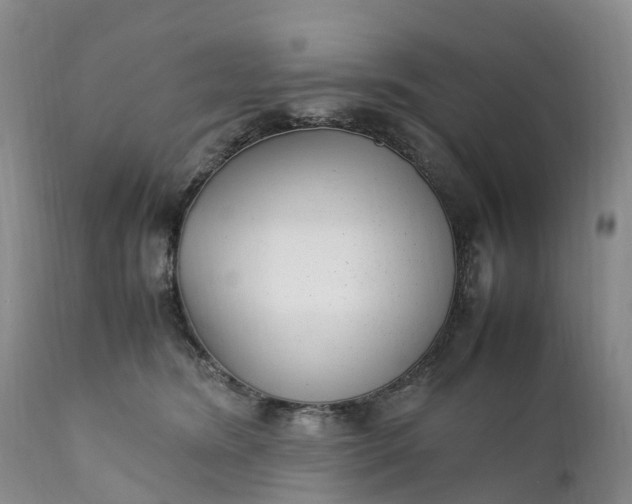 X0000111390420200907241338