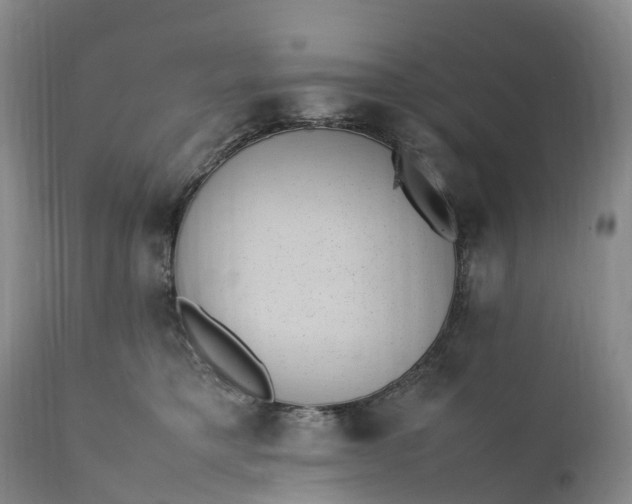 X0000111390421200907241338