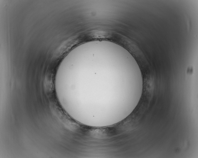 X0000111390422200907241338