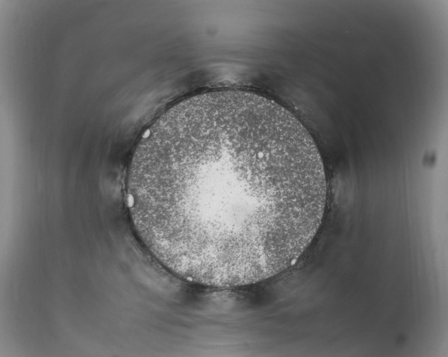 X0000111390423200907241338