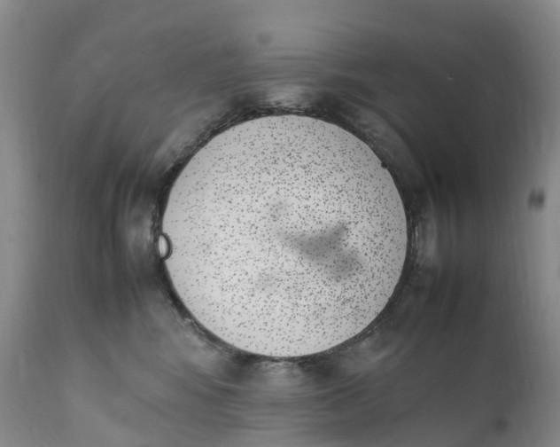 X0000111390424200907241338