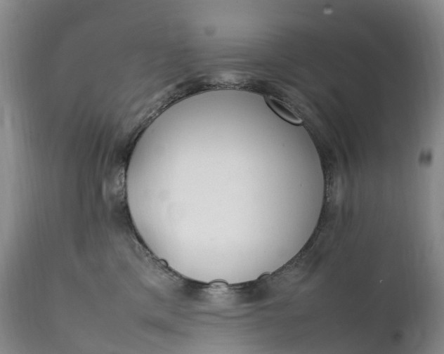 X0000111390425200907241338