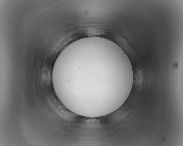 X0000111390426200907241338