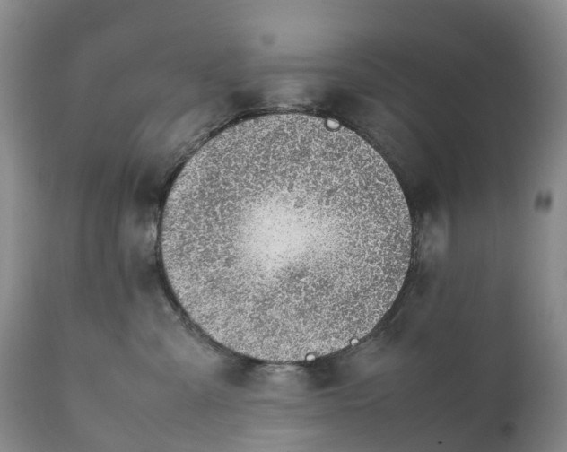 X0000111390427200907241338