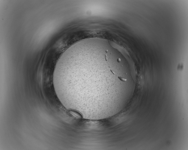 X0000111390428200907241338