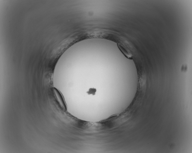 X0000111390429200907241338