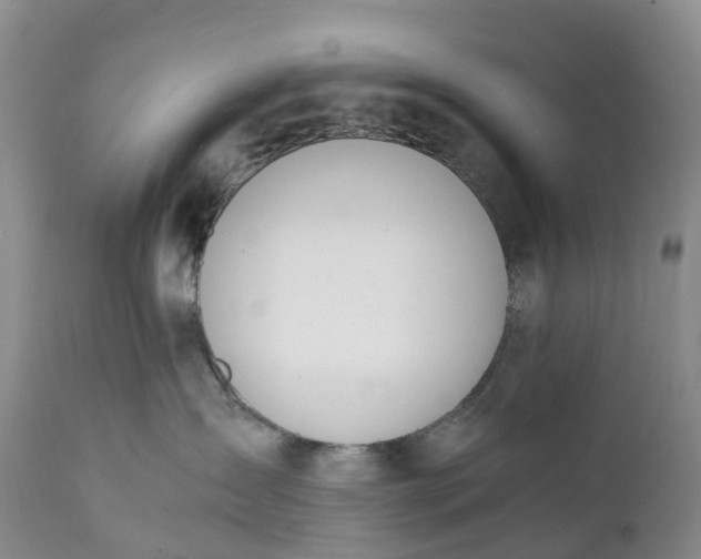 X0000111390431200907241338