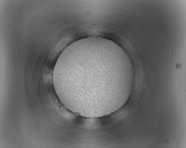 X0000111390432200907241338