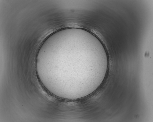 X0000111390433200907241337