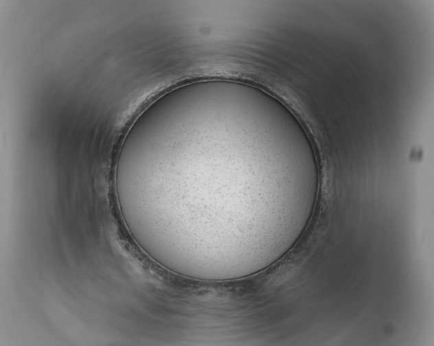 X0000111390434200907241337